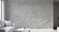 Minimalist Light Gray Veined Marble Texture Wall Mural