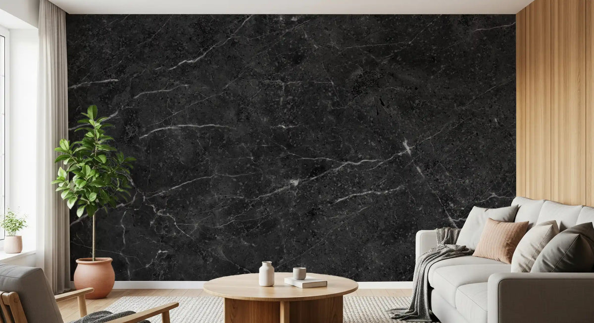 Dark Charcoal Veined Stone Texture Wall Mural