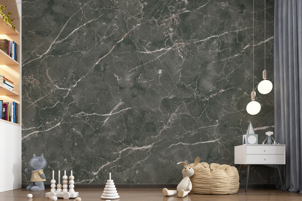 Dark Charcoal Marble Vein Texture Wall Mural