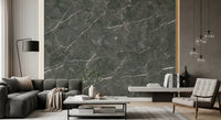 Dark Charcoal Marble Vein Texture Wall Mural