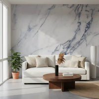 Classic Carrara Marble Vein Wall Mural
