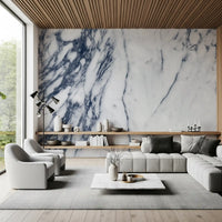 Classic Navy and White Marble Veins Wall Mural