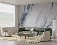 Classic Blue and White Marble Vein Wall Mural