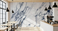 Classic White and Blue Veined Marble Wall Mural
