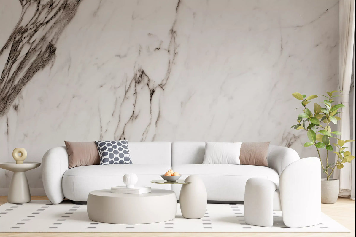 Monochrome Marble Veining Wall Mural