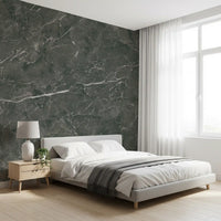 Dark Charcoal Marble Vein Wall Mural