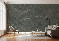 Dark Charcoal Marble Vein Wall Mural