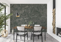 Dark Charcoal Marble Vein Wall Mural