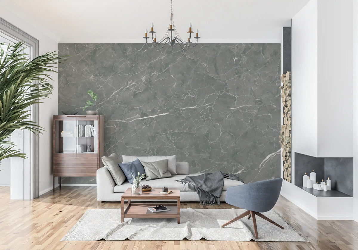 Dark Charcoal Marble Vein Wall Mural