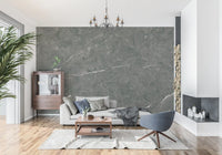 Dark Charcoal Marble Vein Wall Mural