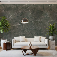 Dark Charcoal Marble Vein Wall Mural