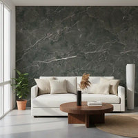Dark Charcoal Marble Vein Wall Mural