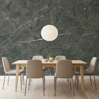 Dark Charcoal Marble Vein Wall Mural