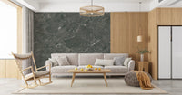 Dark Charcoal Marble Vein Wall Mural