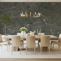 Charcoal Stone Vein Wall Mural