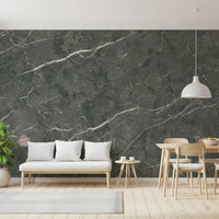 Dark Charcoal Marble Stone Texture Wall Mural