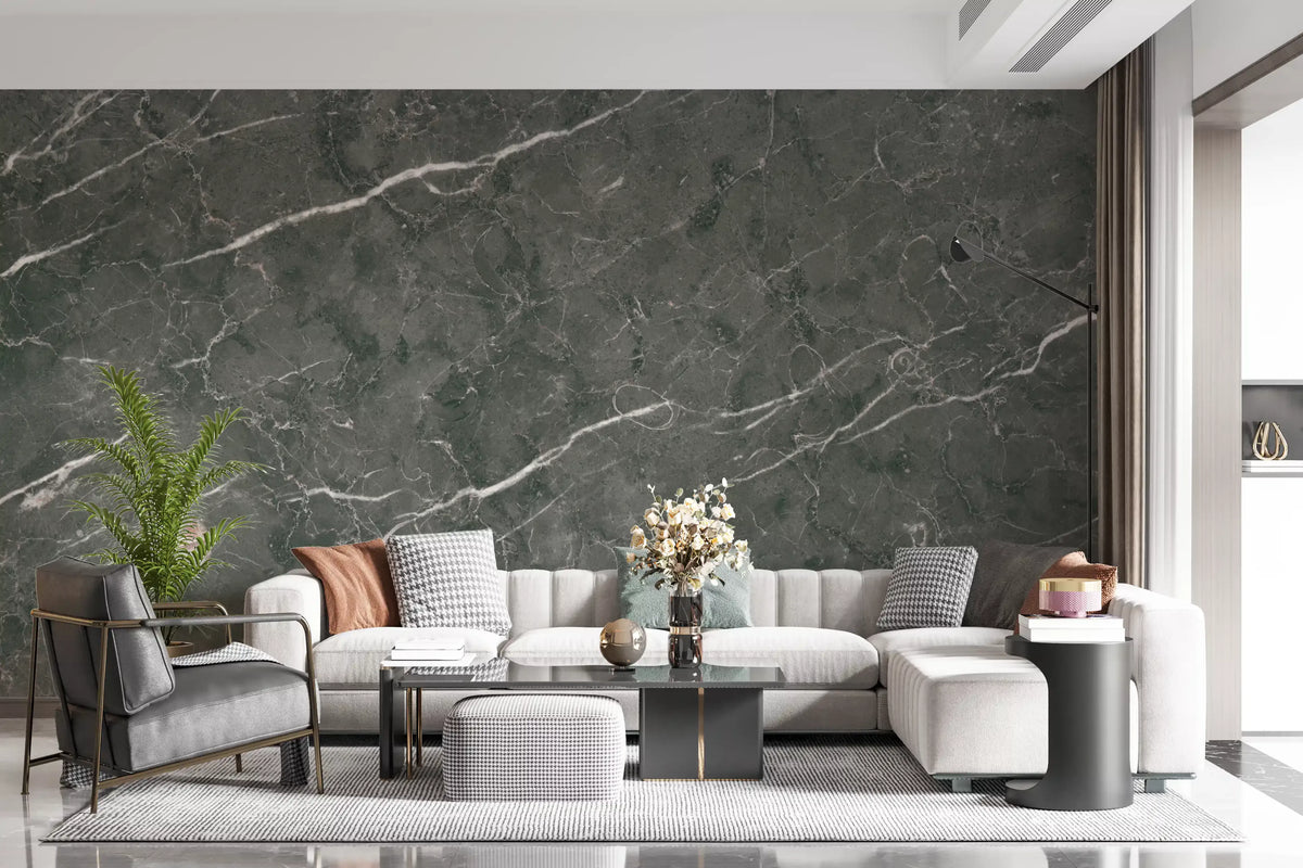Charcoal Stone Vein Texture Wall Mural