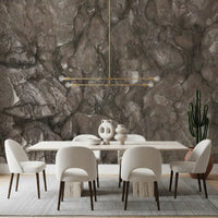 Organic Earth Tones Marble Texture Wall Mural