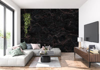 Midnight Obsidian Marble Veins Wall Mural