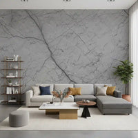 Monochromatic Grey Veined Stone Wall Mural