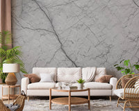 Monochromatic Grey Veined Stone Wall Mural