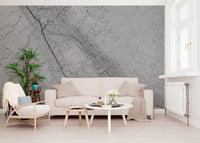Monochromatic Grey Marble Vein Wall Mural