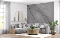 Monochromatic Grey Marble Vein Wall Mural