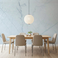 Cool Pale Marble Vein Wall Mural