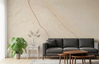 Cream Stone Veined Marble Wall Mural
