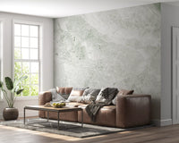 Sage Green Marble Vein Wall Mural