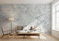 Cool Grey Blue Marble Vein Wall Mural