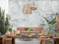 Cool Grey Blue Marble Vein Wall Mural