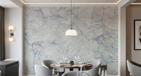 Cool Grey Blue Marble Vein Wall Mural