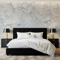Cool Grey Blue Marble Vein Wall Mural