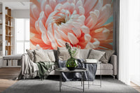 Coral Bloom Macro Detail Wall Mural