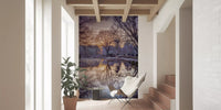Golden Sunset Reflected in Still Woodland Waters Wall Mural