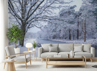 Snowy River Path Wall Mural