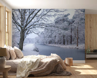 Snowy River Path Wall Mural