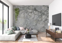 Cool Grey Marble Slab Wall Mural