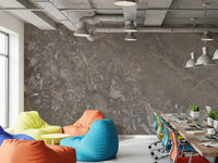 Smoky Grey Marble Texture Wall Mural