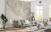 Serene Grey Marble Veining Wall Mural
