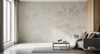 Natural Stone Vein Texture Wall Mural