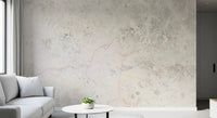 Natural Stone Vein Texture Wall Mural