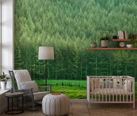 Verdant Woodland Valley Wall Mural