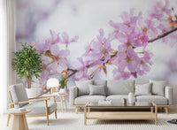 Minimalist Spring Petal Study Wall Mural