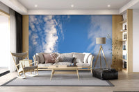 Drifting Cloudscape Wall Mural