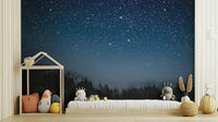 Starry Night Wallpaper Mural - Giffywalls