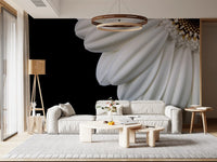 Monochrome Gerbera Macro Study Wall Mural
