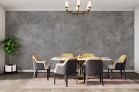 Modern Grey Concrete Wall Mural Design