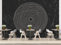 Black & White Concentric Circles Wallpaper Mural